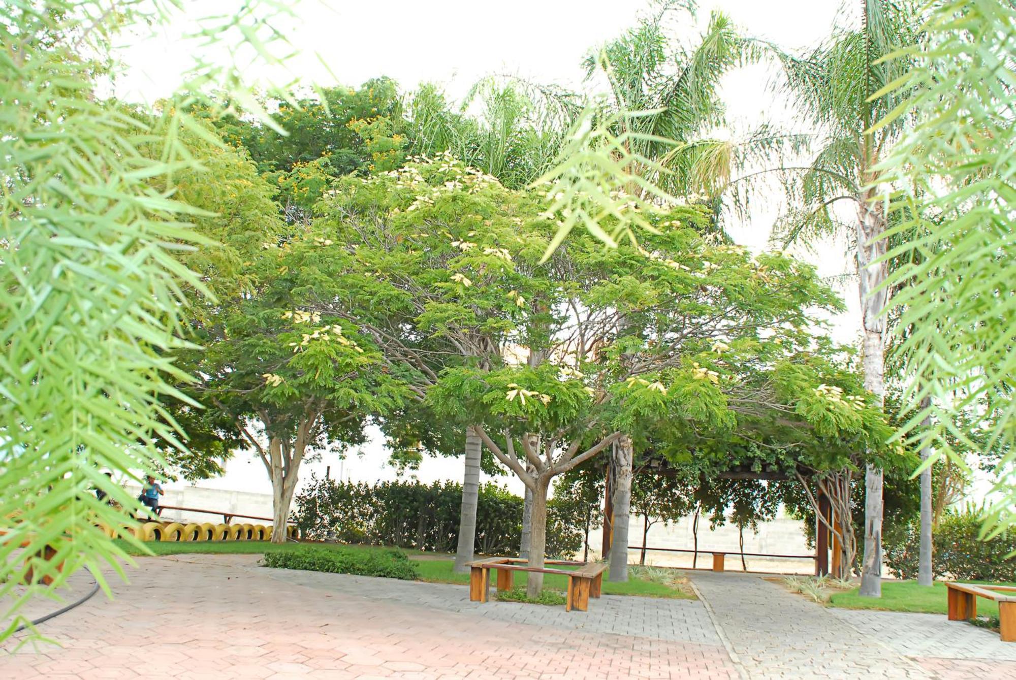 Hotel Flor Da Chapada Itaberaba Екстер'єр фото